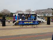 the story(재즈,팝,포크)