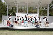 일타고수